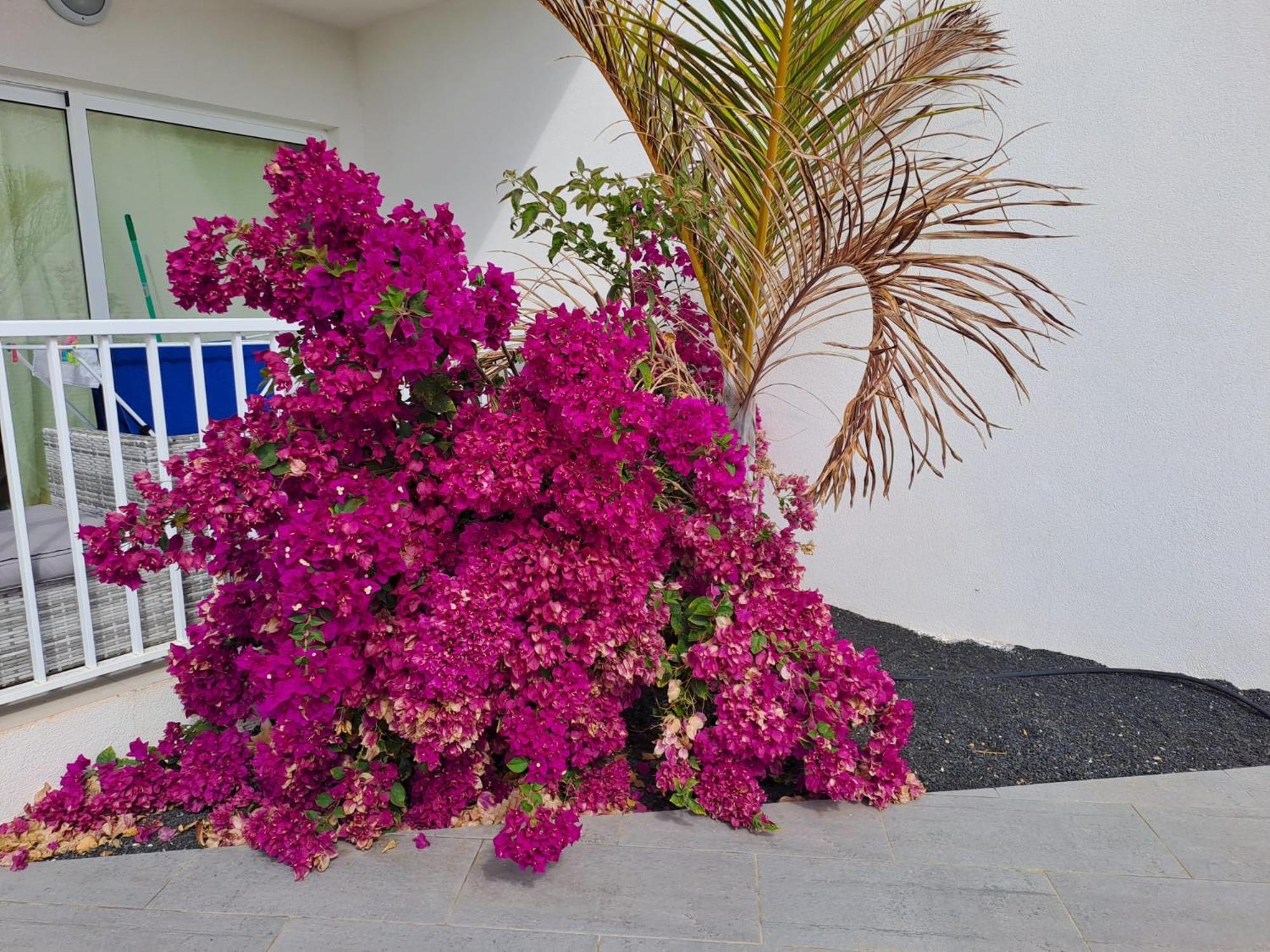 Ferienwohnung Luxury Sea View Senator Lanzarote Costa Teguise Exterior foto